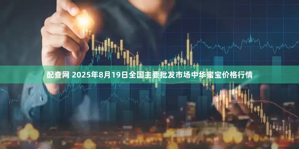 配查网 2025年8月19日全国主要批发市场中华蜜宝价格行情